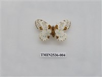 藏品(尺蛾18)的圖片